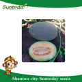 Suntoday länglich nett Art länglich Assot grüne Rinde mit orange-rot Fleisch Gemüse Hami Melone japanische Muna Samen n4000 (18004)